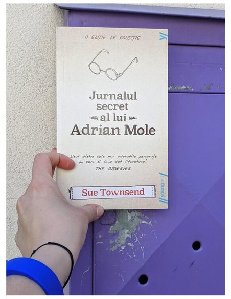 Jurnalul secret al lui Adrian Mole - Sue Townsend | Young Art [necartonata]