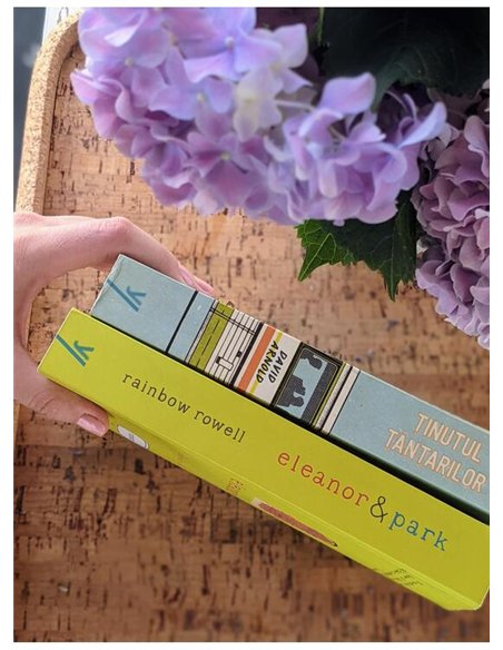 Tinutul tantarilor - David Arnold | Young Art [necartonata]