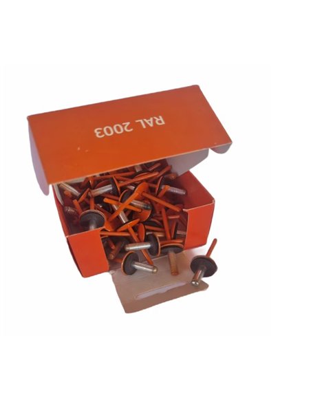 Set x 50 bucati Nituri cap lat vopsite electrostatic cu garnitura EPDM RAL 2003 Pastel Orange 4.8x20x16mm (aplicatie fibrociment