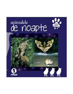 Animalele de noapte | Arthur [cartonata]