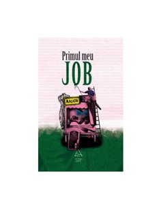 Primul meu job - Florin Dumitrescu (coord.) | Editura Art [necartonata]