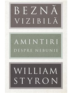 Bezna vizibila. Amintiri despre nebunie - William Styron | Editura Art [cartonata]