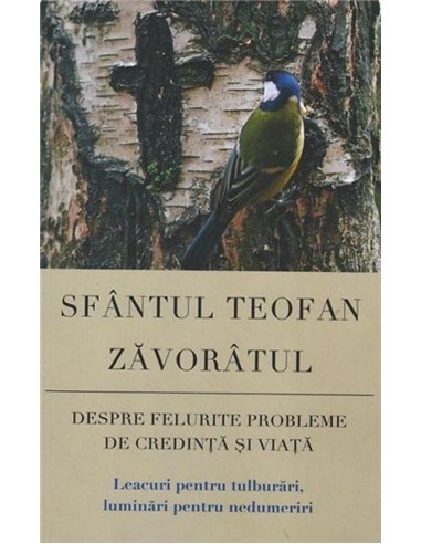 Despre felurite probleme de credinta si viata. Leacuri pentru tulburari, luminari pentru nedumeriri | Editura Sophia