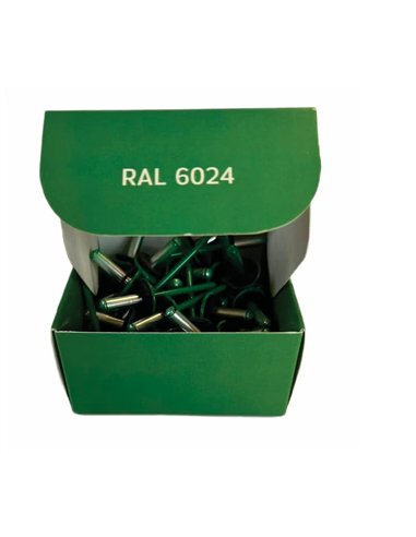 Set x 50 bucati Nituri cap lat vopsite electrostatic cu garnitura EPDM RAL 6024 Traffic Green 4.8x20x16mm (aplicatie fibrociment