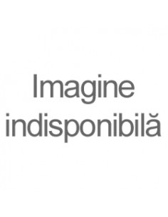 In cautarea Romaniei - Dennis Deletant | Humanitas